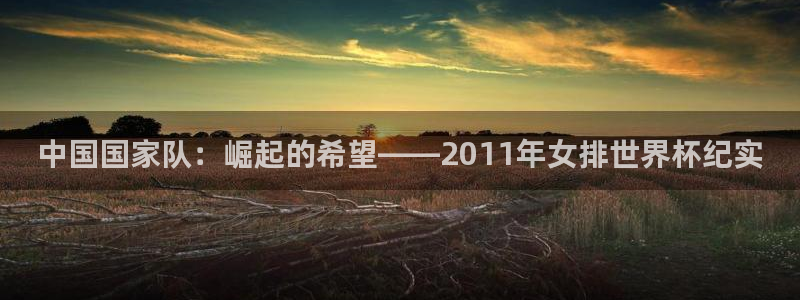 联赛杯直播：中国国家队：崛起的希望——2011年女排世界杯纪实