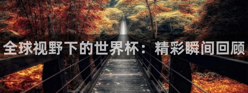 2026世界杯赛程时间表最新：全球视野下的世界杯：精彩瞬间回顾