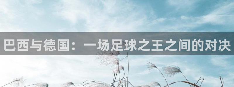 2026世界杯买球：巴西与德国：一场足球之王之间的对决