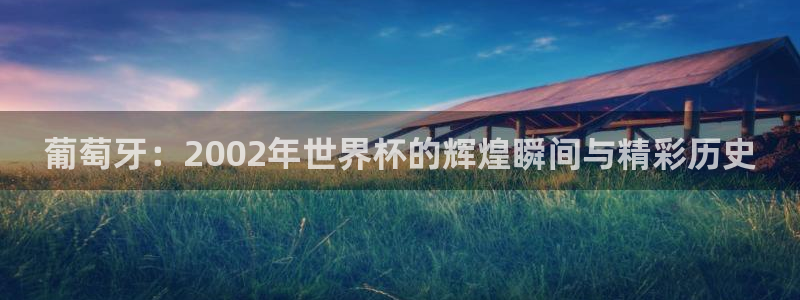 2026世界杯小组赛赛程时间表：葡萄牙：2002年世界杯的辉煌瞬间与精彩历史