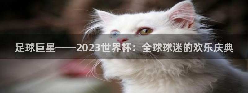 2026世界杯对阵图：足球巨星——2023世界杯：全球球迷的欢乐庆典
