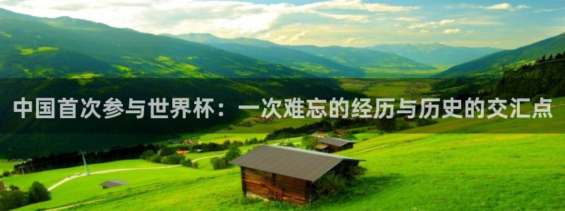 欧洲世界杯预选赛：中国首次参与世界杯：一次难忘的经历与历史的交汇点