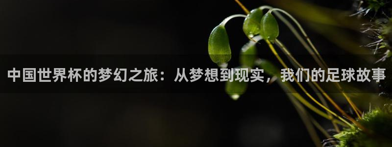 2026世界杯德国队阵容：中国世界杯的梦幻之旅：从梦想到现实，我们的足球故事