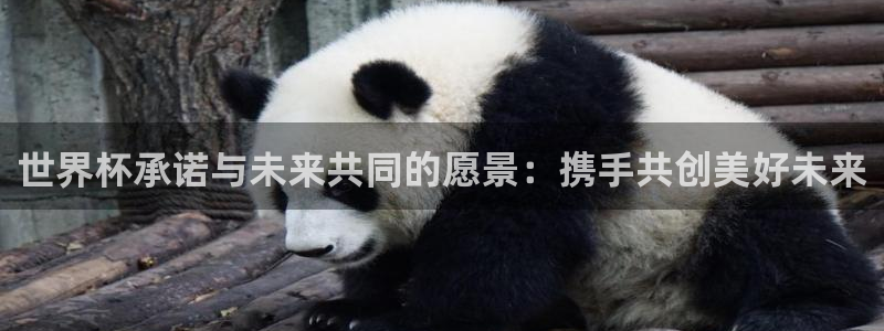 世界杯直播高清：世界杯承诺与未来共同的愿景：携手共创美好未来