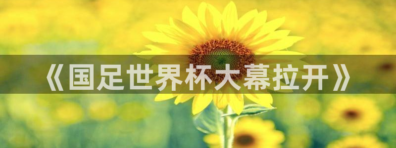 世预赛直播：《国足世界杯大幕拉开》