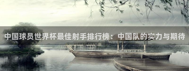 2026世界杯直播免费观看：中国球员世界杯最佳射手排行榜：中国队的实力与期待