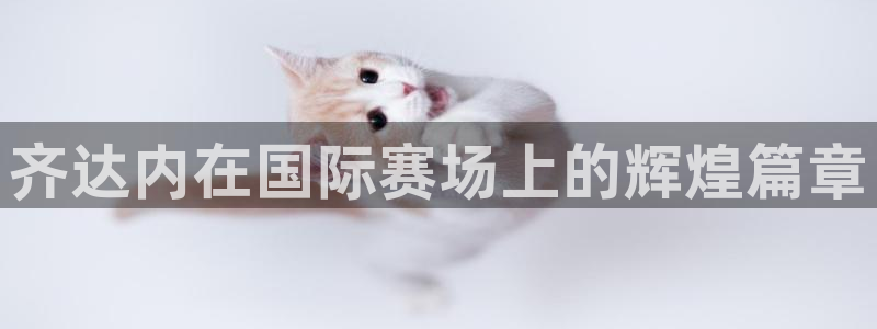 世界杯直播在线观看入口：齐达内在国际赛场上的辉煌篇章