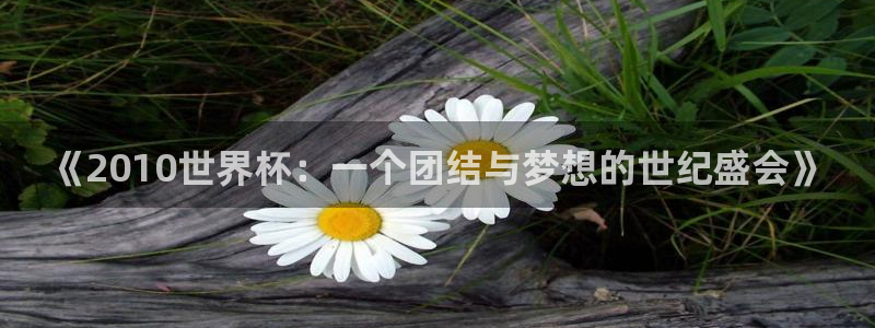 世界杯葡萄牙赛程:《2010世界杯:一个团结与梦想的世纪盛会》