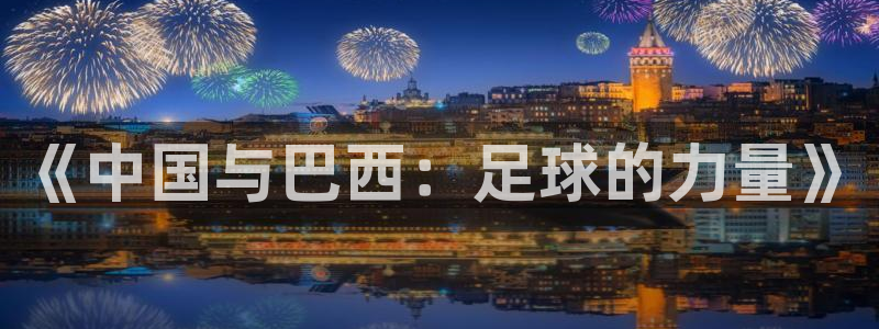 2006年世界杯冠军：《中国与巴西：足球的力量》