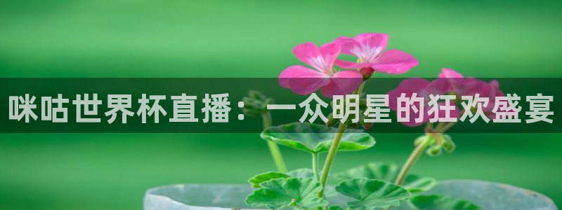2026世界杯亚洲区预选赛赛程：咪咕世界杯直播：一众明星的狂欢盛宴