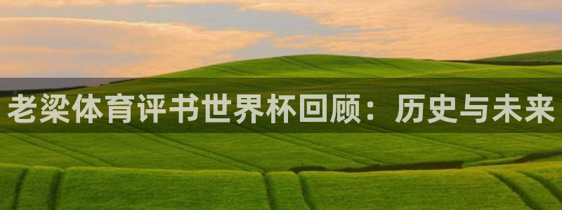 2026世界杯中国队：老梁体育评书世界杯回顾：历史与未来