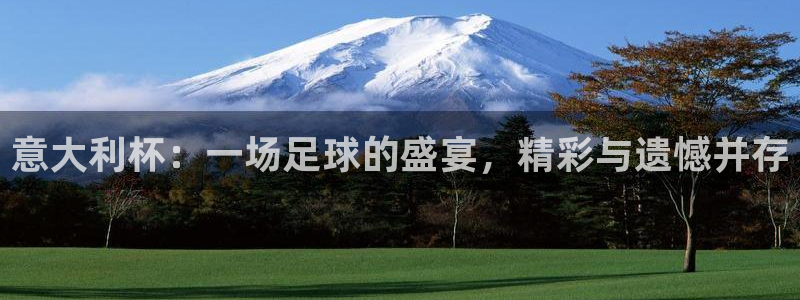 足球世界杯2026：意大利杯：一场足球的盛宴，精彩与遗憾并存